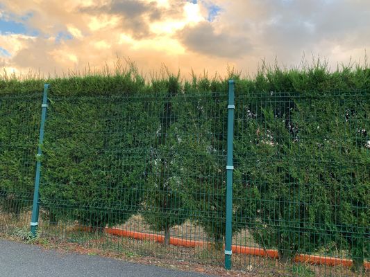 Keamanan Welded Wire Mesh Pagar Korosi Lapisan 3d Panel