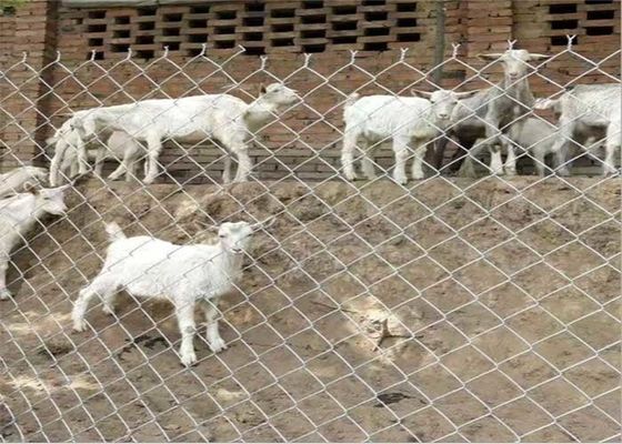 14 Gauge 6 Gauge Metal Chain Link Fencing Baja Karbon Rendah