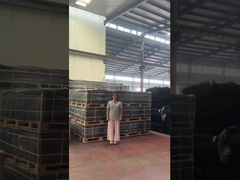 Clear View Teralis Paku Keamanan 358 Pagar Anti Panjat