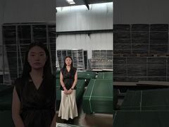 Pagar Clear View Pagar Keamanan Anti Panjat membuat palet